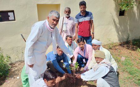 सीकर के पर्यावरण प्रेमी ने आलमशाह गांव मे पौधा लगाकर लोगों को पर्यावरण के प्रति किया जागरूक