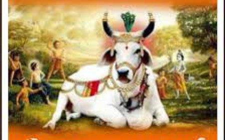 राजस्थान में गौचर भूमि को मुक्त कराने एवं गौ माता को  राष्ट्र माता घोषित करने की मांग