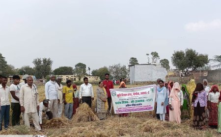 जौ फसल की उन्नत किस्म डी.डब्ल्यू.आर.बी.- 137 पर प्रक्षेत्र दिवस आयोजित