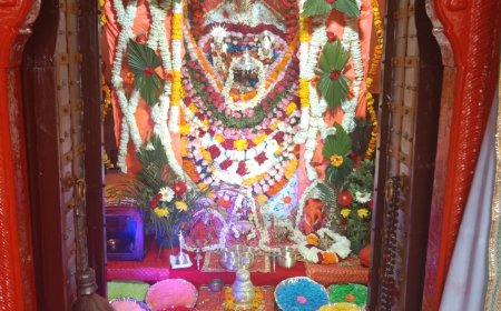 लोहार्गल सूर्य मंदिर में फागोत्सव का हुआ आयोजन, रंग बिरंगी गुलाल व फूलों की खेली गई होली