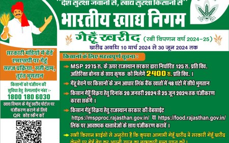 मंडी परिसर सीकरी मे प्रारम्भ हुआ एफसीआई का गेहूं खरीद केंद्र