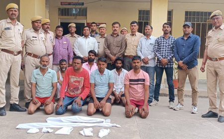 अवैध हथियारों और साइबर ठगी क़े आरोपियों की गेंग पर बड़ी कार्यवाही