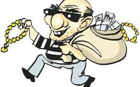 पूर्व पति ने दिया चोरी की घटना को अंजाम