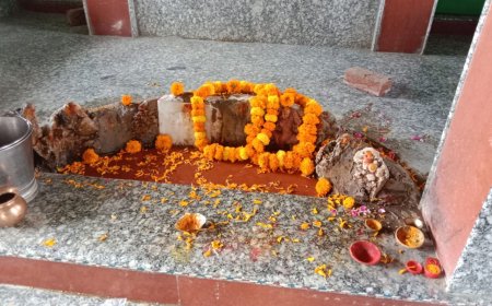 बागोरा में 1 अप्रैल को भरेगा शीतला माता का मेला,  रविवार को मंदिर परिसर में होगा विशाल जागरण का आयोजन
