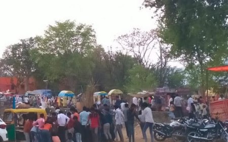 सियारामदास महाराज के जयघोष से गूंजा कस्बा नारायणपुर भरा आस्था का मेला