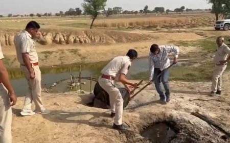 आबकारी और पुलिस कि संयुक्त कार्यवाही के दौरान दो हजार लीटर वाश नष्ट तीन भट्टियों को तोडा बनाने वाले मौक से हुए फरार