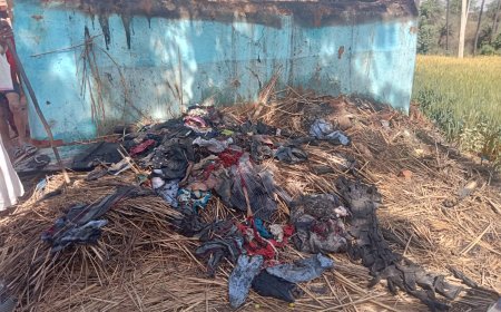 तिजारा :सूरजमुखी कालिया की ढाणी में शॉर्ट सर्किट से लगी छप्परों में आग, सरसों,कपड़े ,घरेलू सामान जलकर खाक