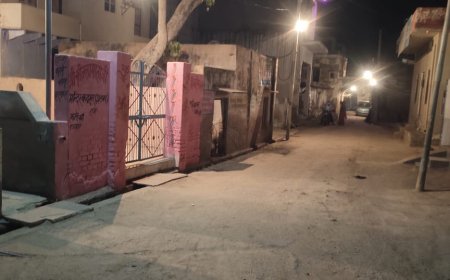 सेढ माता मंदिर परिक्षेत्र की नपा ने  सफाई कर लगवाई लाइट, आमजन ने की सराहना