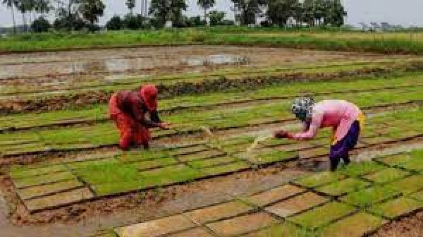 नवीन तकनीक का ज्ञान लेने हेतु महिला किसान का दल गुजरात रवाना