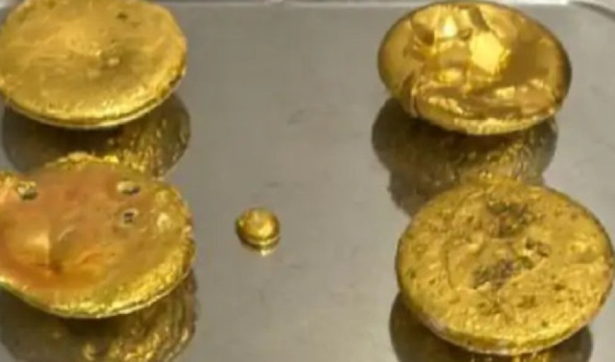 राजस्थान में 2 कार्यवाही में तस्करी का 7.8 किलो सोना जब्त