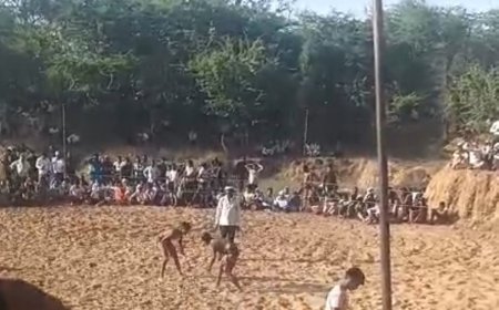 महुवा उपखण्ड के गांव शीशवाडा में बनक्या वाले हनुमान जी के मेले का आयोजन:कुश्ती दंगल मे बराबरी पर छूटी आखरी कुस्ती