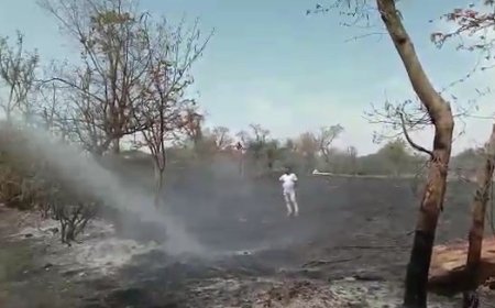 फसल व चारे मे लगी आग, ग्रामीणों की सजगकता टला हादसा