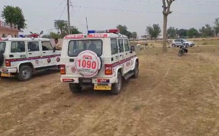 गौवंश के कंकाल बरामद मंच गया हड़कंप