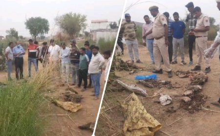 सूखे कुएं में मिले कट्टों में बंद गौवंश के अवशेष,चिकित्सक की जांच में गोवंश के अवशेषों की हुई पुष्टि