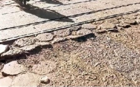 रेलवे फाटक पर गहरे गड्ढे बन रहे जानलेवा :आए दिन वाहन चालक गिर कर हो रहे चोटिल