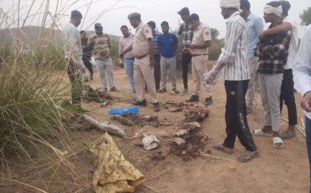 गोवंशो के अवशेष मिलने पर जताया विरोध, जांच की मांग