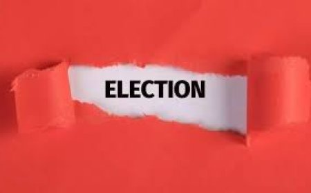 निकाय चुनावों को लेकर  हलचल हुई तेज:दर्जन भर से अधिक उम्मीदवार लाइन में