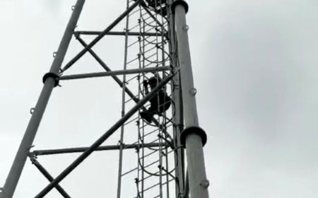 एक बार फिर प्रशासन की अनदेखी, युवक मांगे मनवाने चढ़ा मोबाइल टॉवर पर