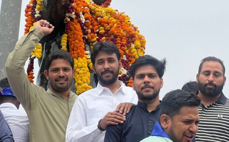 राष्ट्रीय मीना महासभा अलवर ने मनाई अंबेडकर जयंती