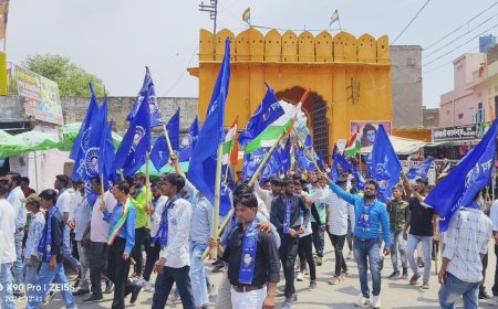 अंबेडकर जयंती पर निकाली यात्रा, प्रतिमा को पुष्प अर्पित किया याद