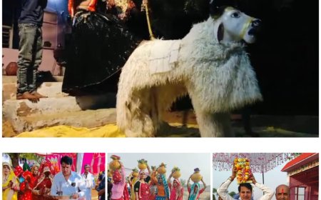 ग्राम टोडा में हुआ शिव परिवार प्राण प्रतिष्ठा समारोह