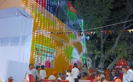 हनुमानजी का जन्मोत्सव मनाया धूमधाम से निकाली झांकियां हुआ विशाल भंडारा आयोजित