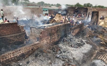गांव खेरिया जाट में 5 छप्परपोश घरो में लगी आग, 2 बाइक जली 3 बछडो की मौत