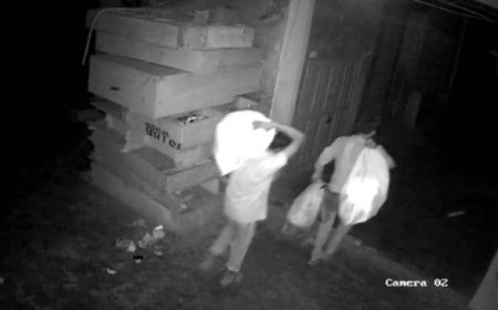 भिवाड़ी के सेंट्रल मार्केट के पास हुई लाखों रुपए के मोबाइल की चोरी:कट्‌टों में भरकर ले गए मोबाइल