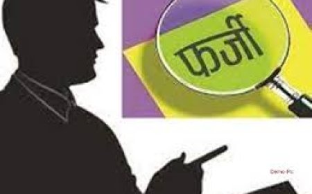 ग्राम पंचायत के नाम से फर्जी पट्टा बना लगाई लोन की फाइल, सत्यापन में खुलासा