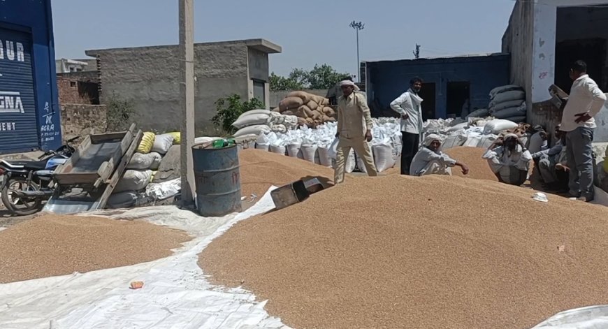 गोविन्दगढ़ में फसल की गुणवत्ता को लेकर गेहूं की कम खरीद होने पर पहुंचे अधिकारी:कारण जानकर बनाई रिपोर्ट