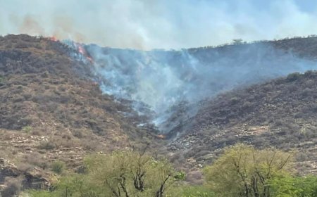 पांच घंटे की कड़ी मशक्कत के बाद वनकर्मियों व‌ ग्रामीणों ने पाया आग पर काबू