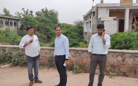 जिला कलक्टर ने किया एतिहासिक धरोहरों का निरीक्षण