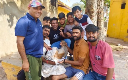 आखिरकार पकड़ा ही गया आतंकी बंदर: नांगल गांव में  15 दिन मे दर्जनों लोगों को कर चुका घायल