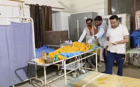 माचाडी-रैणी सड़क मार्ग पर बस की टक्कर से वृद्धा की मौत