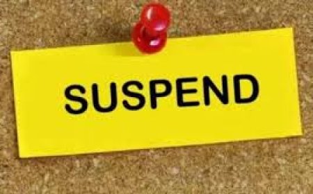 मतदाता सूचियों के विशेष गहन पुनरीक्षण में लापरवाही,  बीएलओ निलंबित