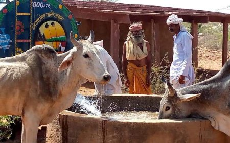 प्रत्येक गांव /कस्बे में पशु पक्षियों के चारा, दाना-पानी की व्यवस्था किए जाने के आदेश हुए जारी