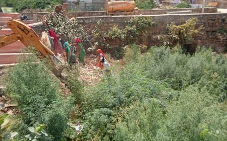 प्रताप नहर की साफ-सफाई प्रारंभ, जिला कलक्टर ने किया एतिहासिक धरोहरों का निरीक्षण