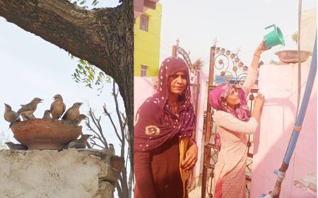 नौगांव तहसील की महिलाओं ने अपने- अपने घरों पर पंक्षीयों के लिए लगाए पानी के परिन्डे