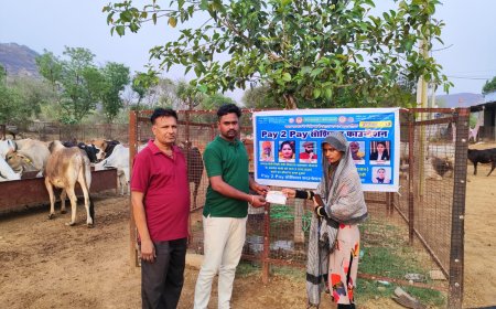 भौंरंगी गौशाला में डलवाया गौ-माताओ को चारा