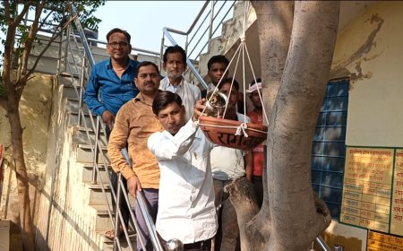 रामबास ग्राम पंचायत ने पक्षियों के लिए लगाए परिंडे पशुओं के लिए पानी की बनवाई खेल