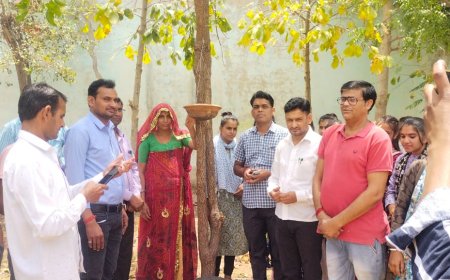 श्री टोडरमल पीजी महाविद्यालय में पक्षियों के लिए लगाए परिंडे