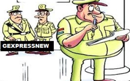 बड़ौदामेव कस्बे सहित आस पास के गांवों में पशु चोर गिरोह सक्रिय: 90000  रुपए का बकरा चोरी,  चोरो का कोई नही लगा सुराग