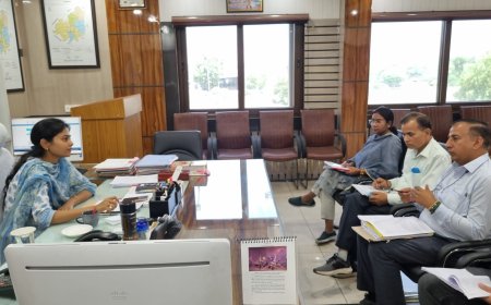 अवैध खनन को लेकर जिला कलक्टर ने विशेष जांच दल की बैठक ली