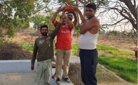 किरोड़ी तीर्थ स्थल सहित विभिन्न स्थानों पर पंक्षियों के लिए लगाए परिंडे