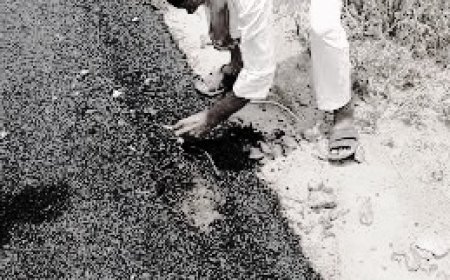 निर्माण के 24 घंटे बाद बाद ही उधड़ने लगी सड़क: ग्रामीण बोले- 20 साल बाद बन रही थी सड़क