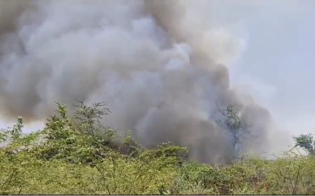 रजवट मैदान में लगी झाड़ियों में आग मचा हड़कंप