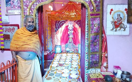 माता दुर्गा का सजाया आकर्षक दरबार सजी छप्पन भोग की झांकी