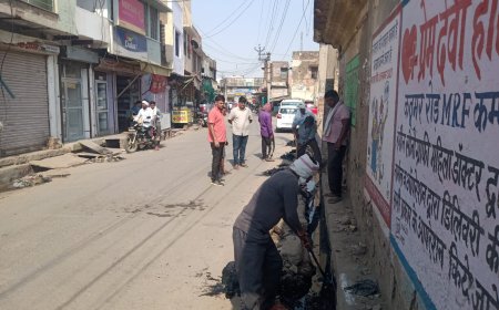 नगर पालिका द्वारा स्वच्छ भारत मिशन के तहत कार्यशाला की आयोजित