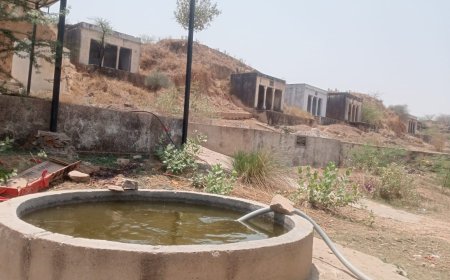 श्री गो उपचार सेवा केंद्र व जल व्यवस्था टीम पचलंगी की अनूठी पहल