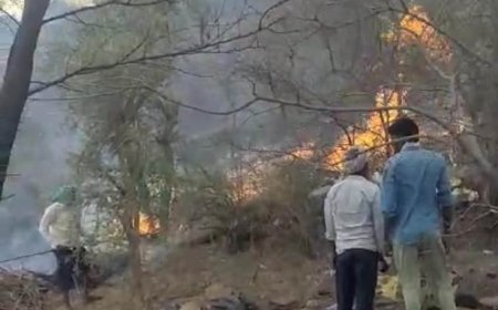 डेरा घाटा के पास पहाड मे लगी आग,वनकर्मियो ने ग्रामीणो की मदद से आग पर काबू पाया